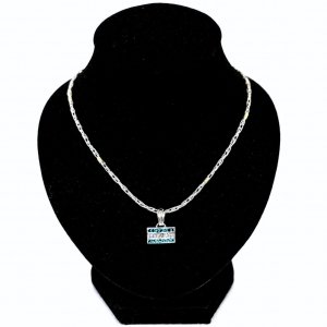 Conjunto Cadena Espiga hueco y Dije Bandera de Argentina con Piedras de Plata 925
